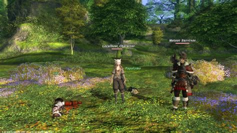 final fantasy 14 private server.